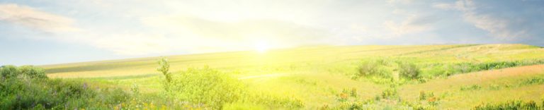 Horizon showing hope