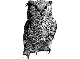 OwlCraft logo