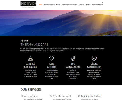 Website design by am:pm graphics for Novo Therapy and Care